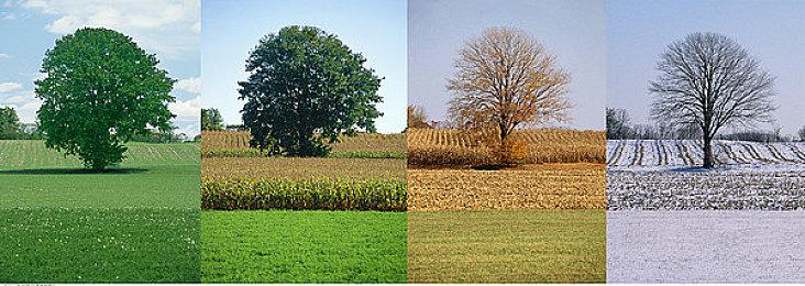 《上古卷轴4：湮灭》粉丝《天际》重制版 2025年推出