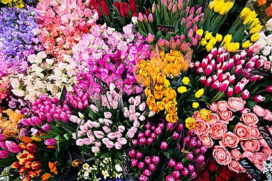 粉丝对守望2与暗黑4联动皮肤不满 认为暴雪吃相难看